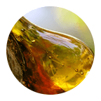 Resina de incienso indio